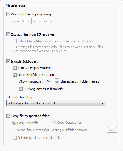 input_options_misc.png
